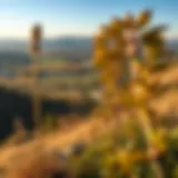 A panoramic view of the Talia Valley showcasing its diverse landscape.