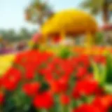 A panoramic view of the vibrant Flower Garden showcasing colorful floral displays.