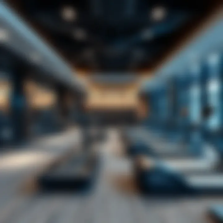 The Fitness Landscape of Damac Hills 2: A Comprehensive Overview of Gym Facilities Summary