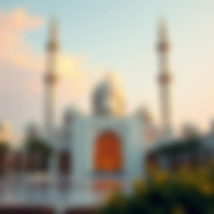 Overview of the mosque's influence on the surrounding real estate market