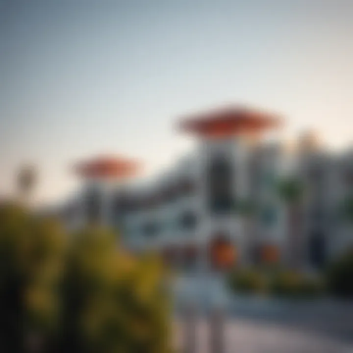 Community amenities in Al Danah