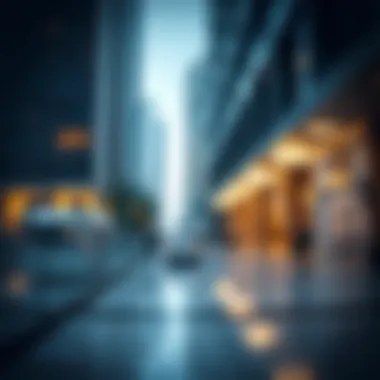 Notable Understanding Visa File Validity Checks in Dubai's Real Estate Context Notable Understanding Visa File Validity Checks in Dubai's Real Estate Context