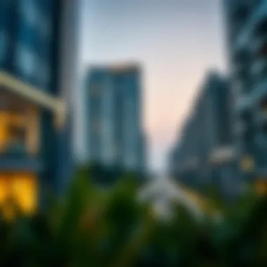 Understanding Visa File Validity Checks in Dubai's Real Estate Context Summary Understanding Visa File Validity Checks in Dubai's Real Estate Context Summary